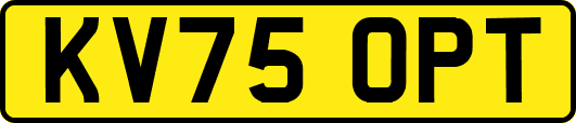 KV75OPT