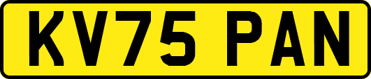 KV75PAN