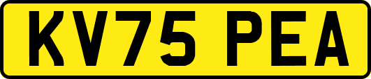 KV75PEA