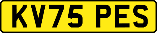 KV75PES