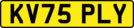 KV75PLY
