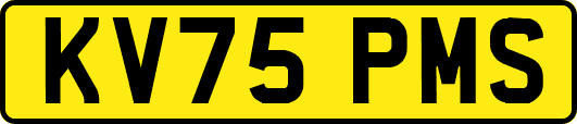 KV75PMS