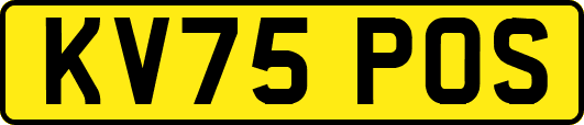 KV75POS