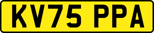 KV75PPA