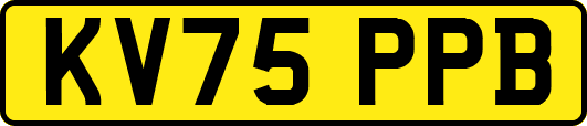 KV75PPB