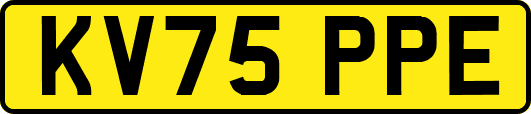 KV75PPE