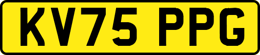 KV75PPG