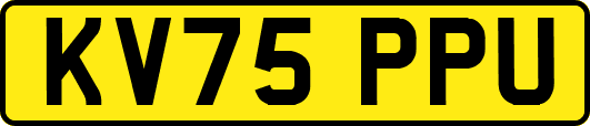 KV75PPU