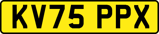 KV75PPX
