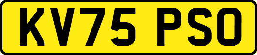 KV75PSO