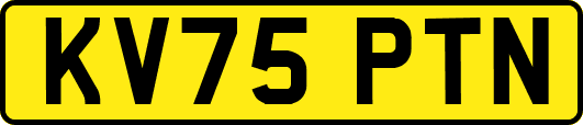 KV75PTN