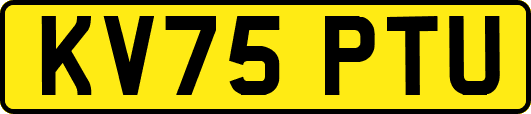 KV75PTU