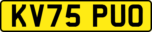 KV75PUO