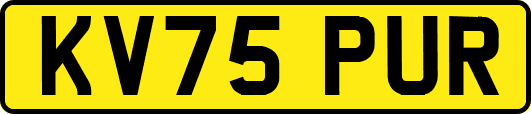 KV75PUR