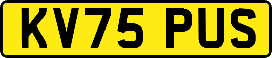 KV75PUS