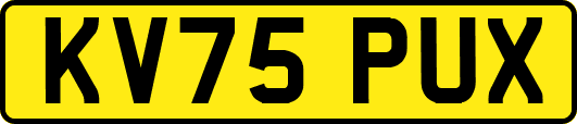 KV75PUX