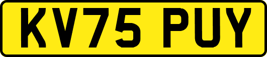 KV75PUY