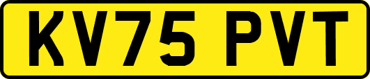 KV75PVT