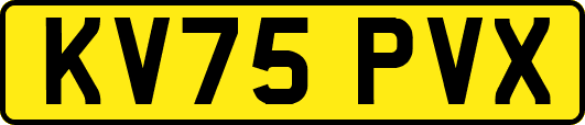 KV75PVX