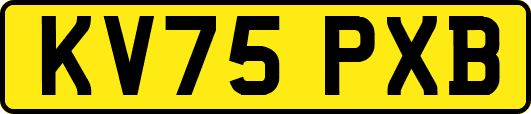 KV75PXB