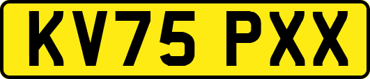 KV75PXX