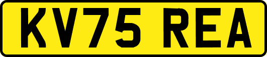 KV75REA