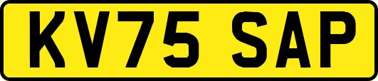 KV75SAP