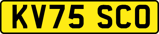 KV75SCO