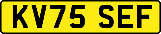 KV75SEF