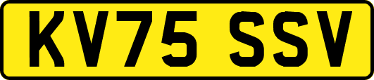 KV75SSV