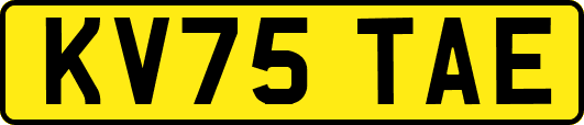 KV75TAE