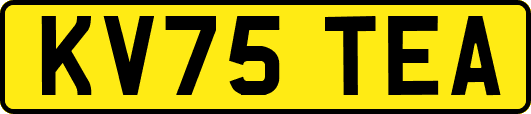 KV75TEA