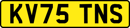 KV75TNS