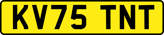 KV75TNT