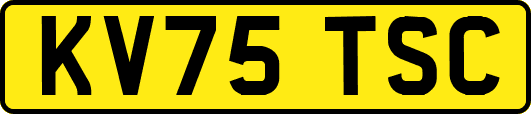 KV75TSC