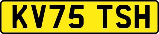 KV75TSH