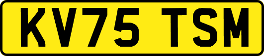 KV75TSM
