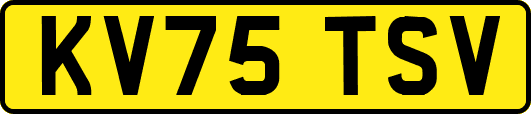 KV75TSV