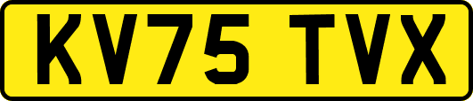 KV75TVX