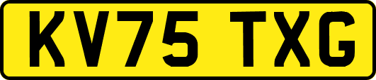 KV75TXG