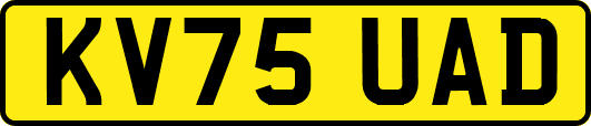 KV75UAD