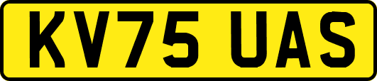 KV75UAS
