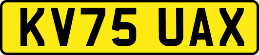 KV75UAX