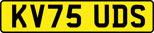 KV75UDS