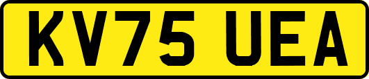 KV75UEA
