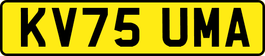KV75UMA