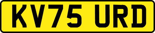 KV75URD
