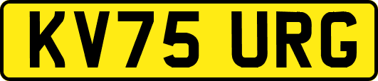 KV75URG