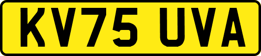 KV75UVA