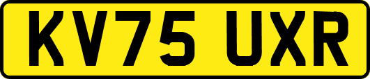 KV75UXR